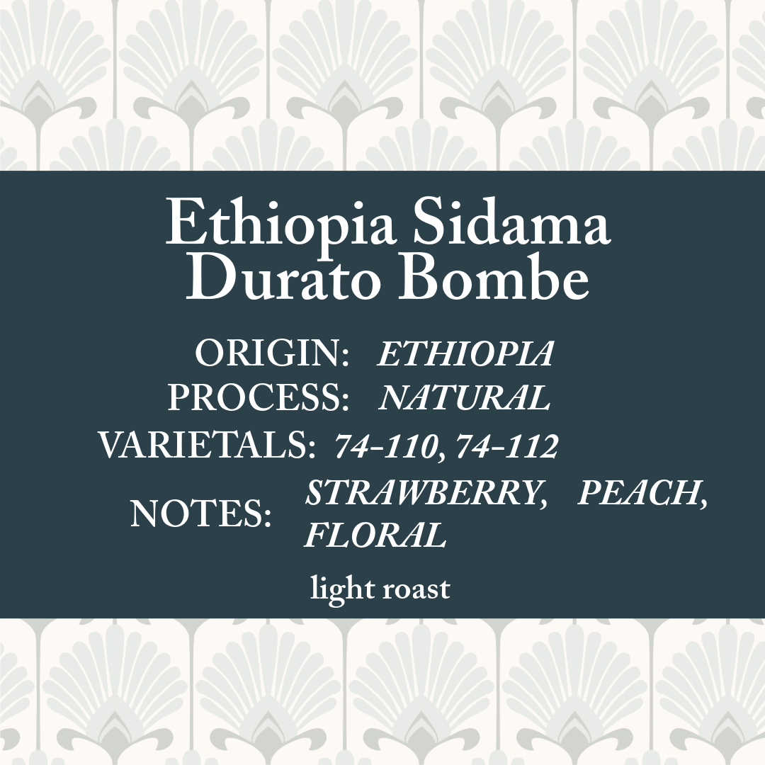 Ethiopia Sidama Durato Bombe Kontama