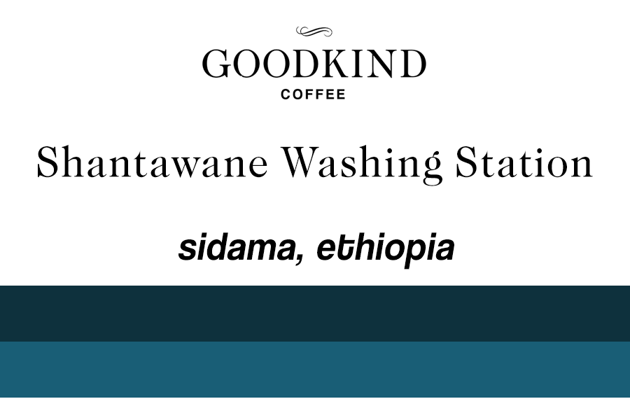 Ethiopia Sidama Shantawene