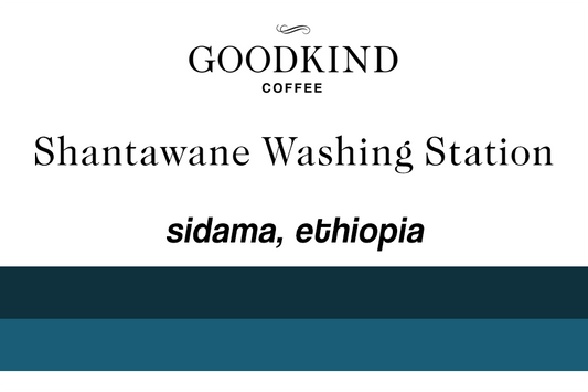 Ethiopia Sidama Shantawene