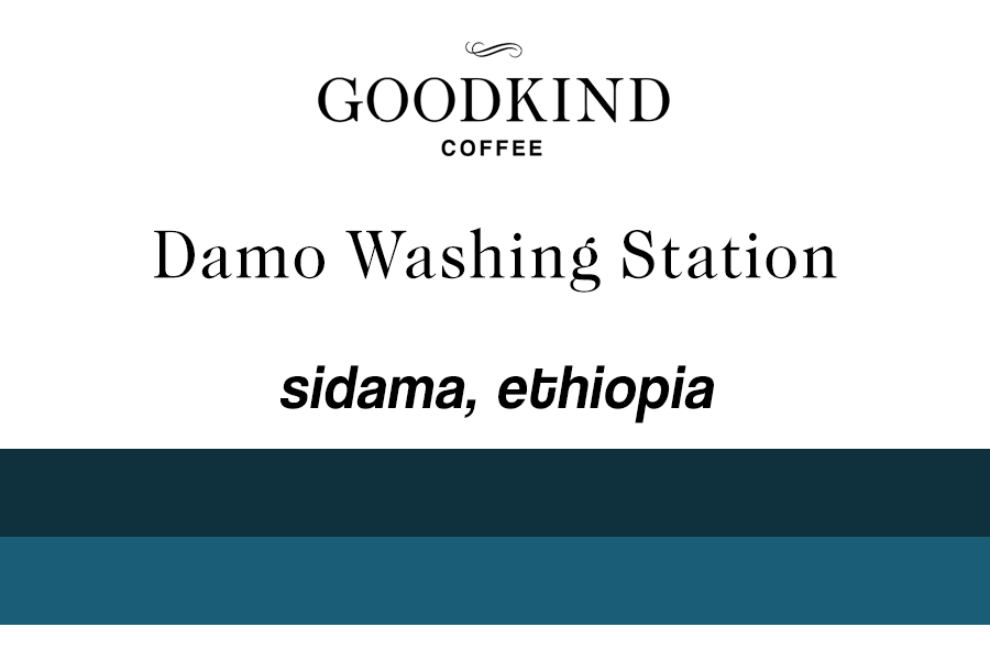 Ethiopia Sidama Daye Bensa Damo