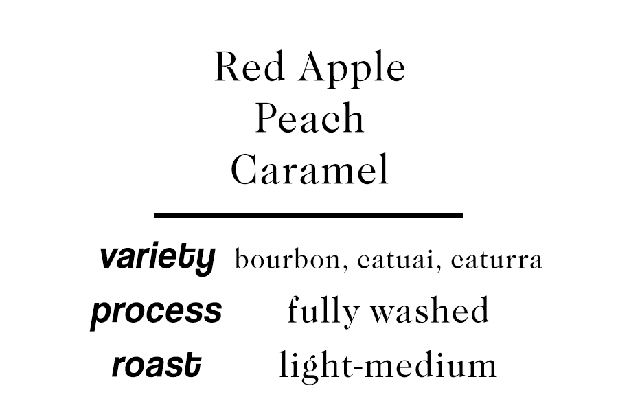 Guatemala Las Moritas